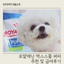 퍼피빈 | 로얄캐닌 엑스스몰 퍼피 추천 및 급여후기