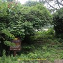 거문중초도분교장 이미지