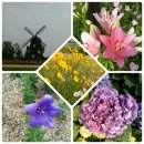 서울시 청소년수련관 이미지