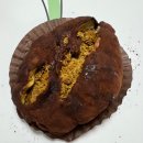 맛나제과 | 휘낭시에맛집 맛나제과 범계점 두쫀쿠,두쫀소금빵 후기