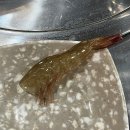 [공지] [쌍문] 맥반석조개구이 - 왕새우소금구이 맛집