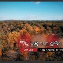 더드림북스 이미지