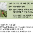 앙상블딸기농장 이미지