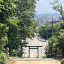 오미기사식당 | 우당탕 시코쿠 낭만기행 6박 7일 ! 베낭+낭만 베낭만여행