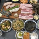 캠핑 컴퍼니