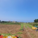 애월바다타운하우스 민박 이미지