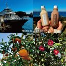 서부농장 | 제주투어패스 추천 코스 24시간 서부 서귀포 겨울 제주 코스