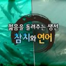 청춘참치 이미지