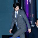 다비드 핏 이미지