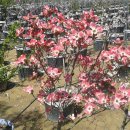 용기농장 이미지