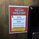 스위트여관 | 대구 네이처파크 호텔드포레 숙박 솔직후기 (동물원 무료입장 + 장단점)