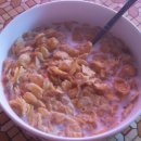 점암농장 이미지