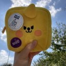 감치원 | 화이자 백신 후기 (2차) | 감치원 | 타이레놀