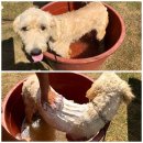 가을이네민박 이미지