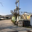 돈참새미 이미지