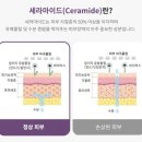 주식회사 닥터대니 | [닥터렘플러스]독일 더마테스트 인증 저자극 고보습 크림으로 온가족 피부지키기