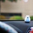 자연향기 이미지