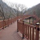 금산산림문화타운 이미지