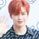 진포토 이미지