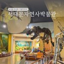 해도동 바다섬 작은도서관 | 11월 서울 아이들과 가볼만한곳 서대문자연사박물관