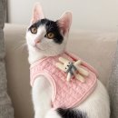 레인보우스토리 이미지
