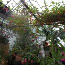 참 좋은 농장 이미지