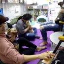 도도네 개집 이미지