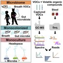 호흡 휘발성 유기화합물(VOCs, volatilome). 호흡으로 장내 유익균을 알아내는 방법 2026 Cell 이미지