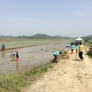 명지초등학교 이미지