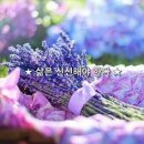 부침막걸리 Daum카페