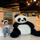 (주)스타맘 이미지