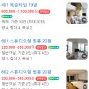 보다스테이 더펜트 이미지