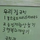 썸오브젝트 이미지