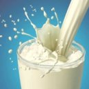 이로운 강아지 이미지