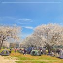 [오전N] 봄 오카리나로 즐겨봄 | 벚꽃 핀 경기상상캠퍼스 수원 아이와 가볼만한곳 다녀왔어요