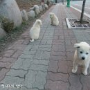 금수모텔