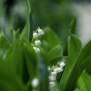 조향 블랜딩 이미지