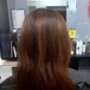 ⭐원주 보그헤어 염색 솔직후기⭐ (모카브라운/ 탈색없는염색/ 가을웜톤딥 헤어컬러 추천/ VOG Hair 원주점)