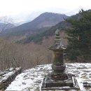 묘적선원 Daum카페