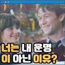 주이상사 | 관람평 결말 줄거리 정보 출연진 조셉 고든 레빗, 주이 디샤넬 캐미는 15년이 지나도 변함없네 500 Days...