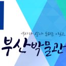첼로라이브