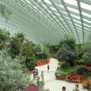 계수8통 이미지