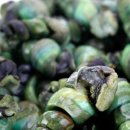 성진푸드 이미지