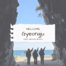 (유)문화택시 | [경주] 경주 동해안 반나절 택시투어 후기🚕 석굴암·불국사·해식동굴·주상절리 완전정복!