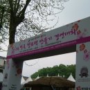 전국향토 떡 만들기 경연대회(오늘까지) 종로3가 한국전통음식연구회 이미지