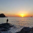 학암포 분점도 이미지