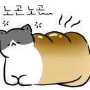 희도민박