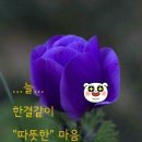 의좋은형제 공원 티스토리