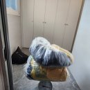 금수레 - 창원시 마산회원구 | 충주 금수레 헌옷수거 후기
