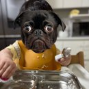 상하연주목장 이미지